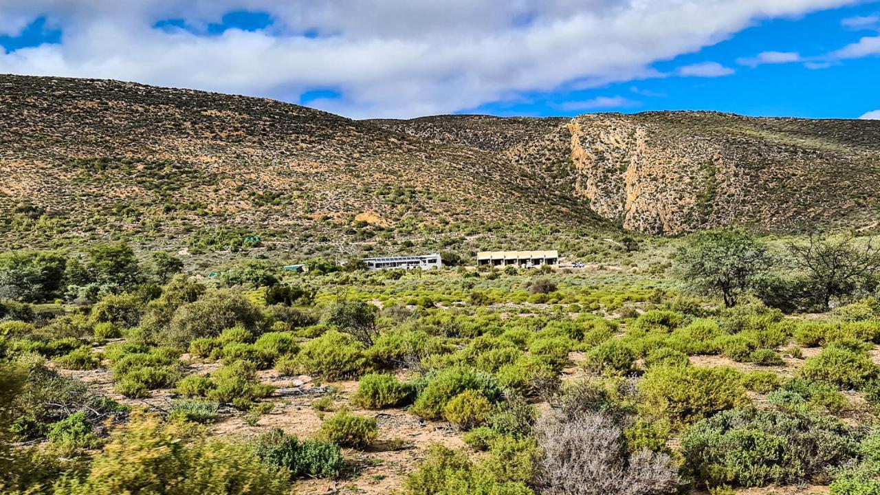 Rooiberg Wild Private Game Reserve Ladismith Εξωτερικό φωτογραφία