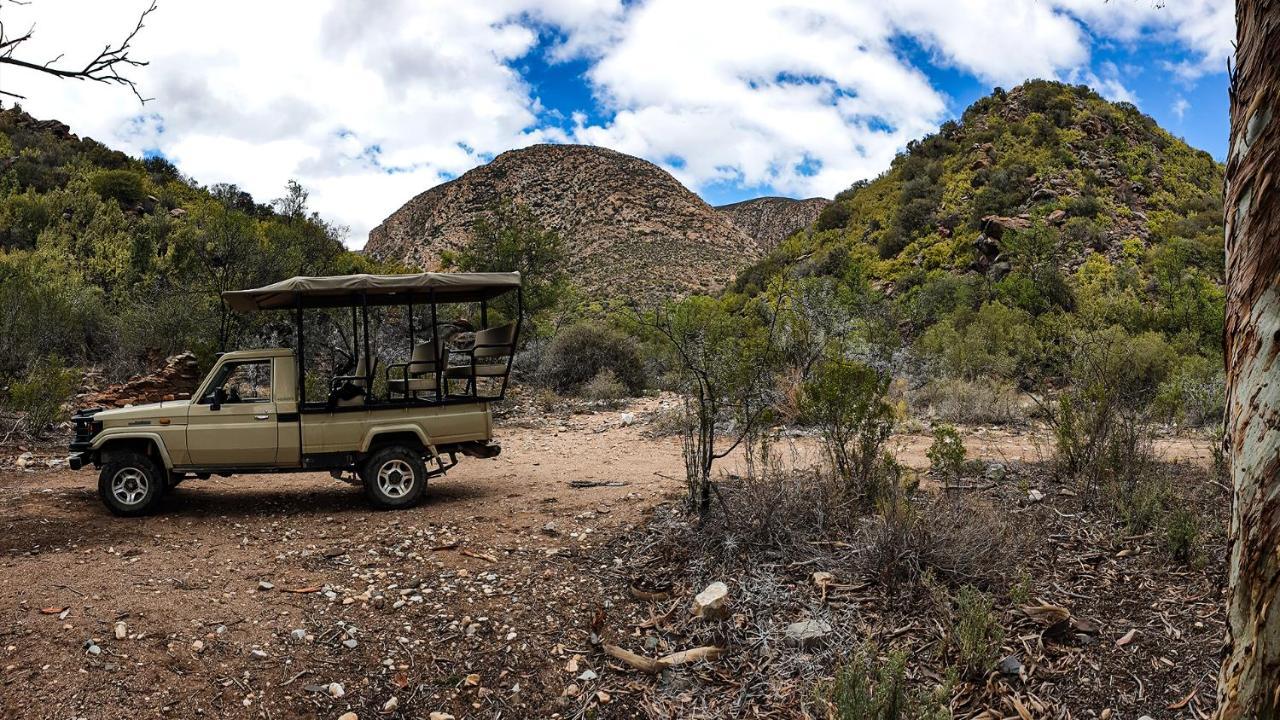 Rooiberg Wild Private Game Reserve Ladismith Εξωτερικό φωτογραφία