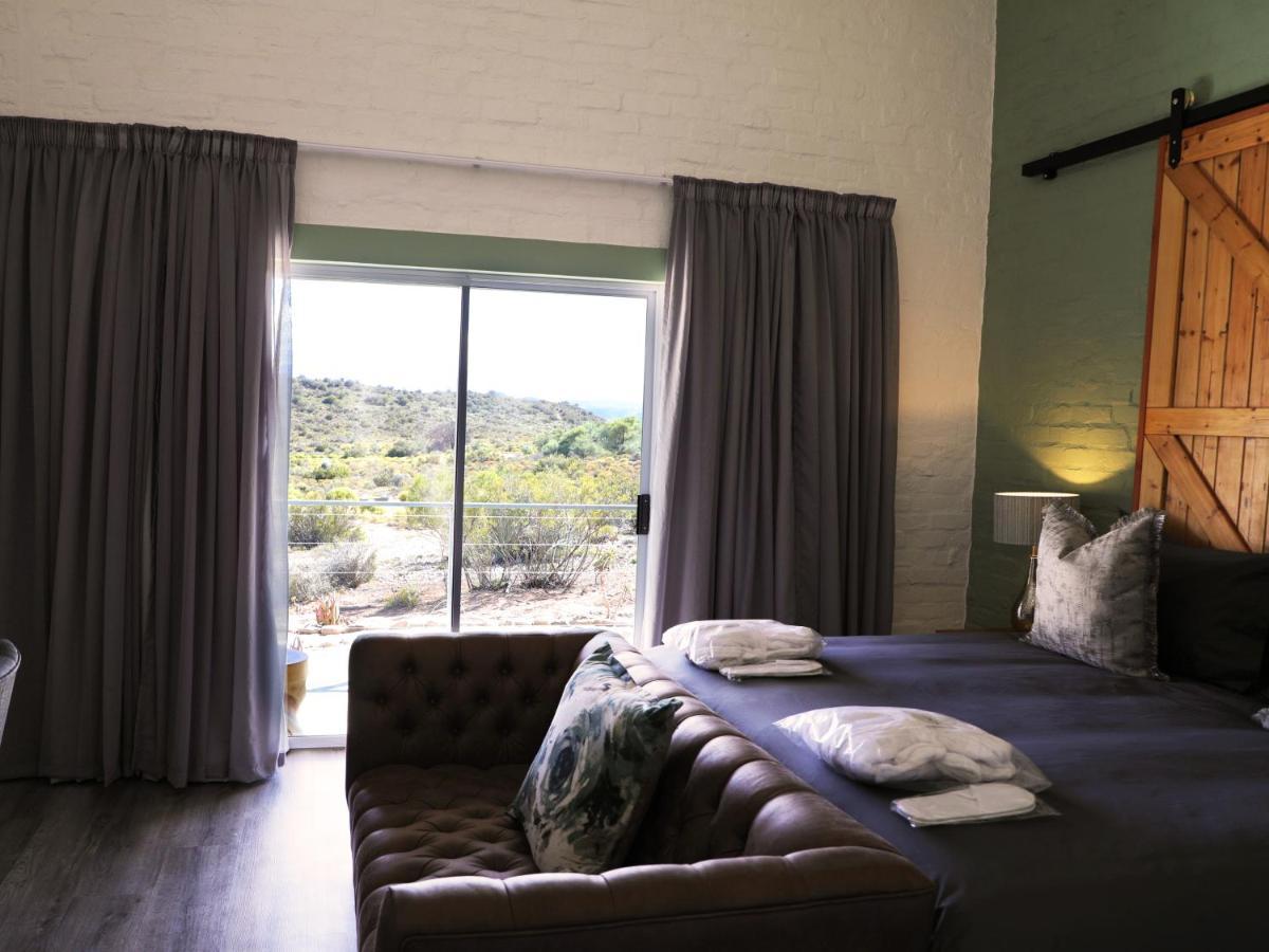 Rooiberg Wild Private Game Reserve Ladismith Εξωτερικό φωτογραφία