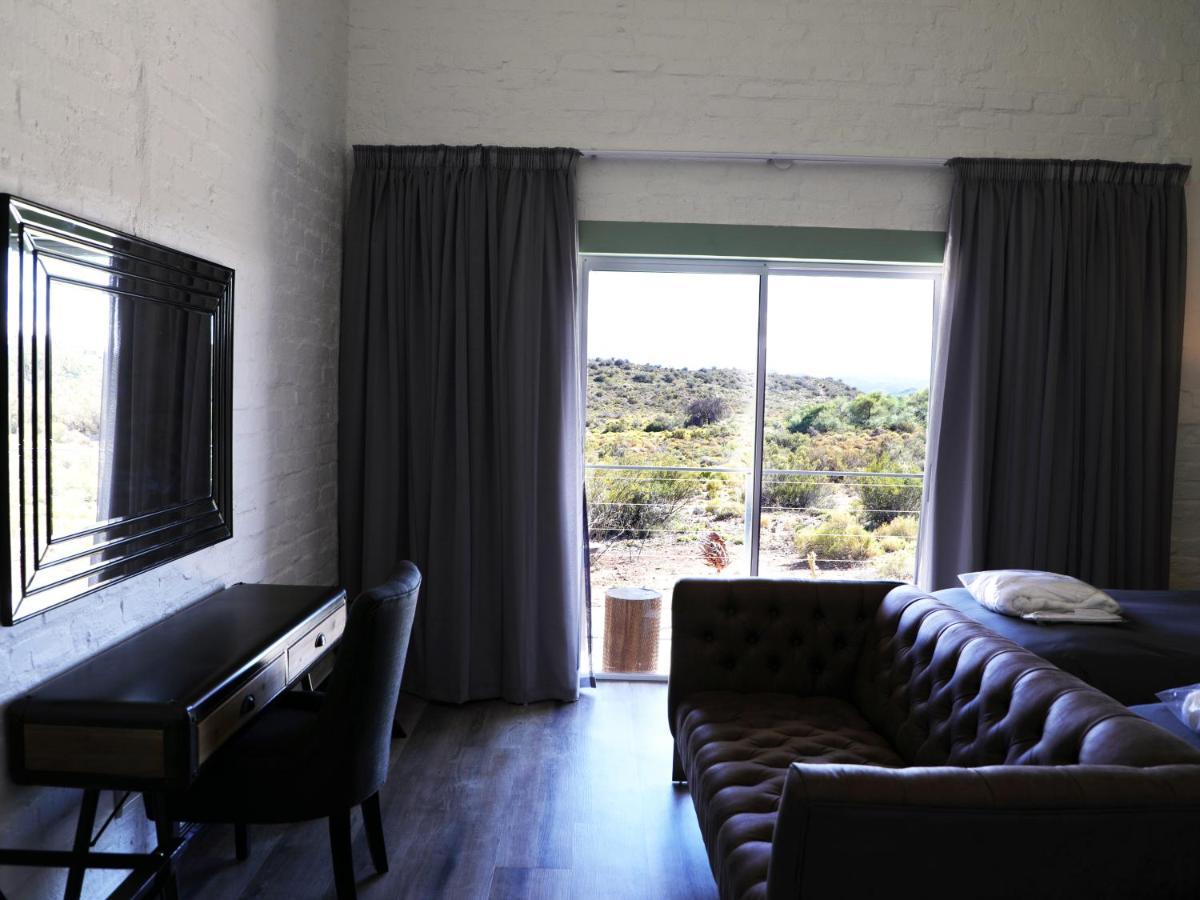 Rooiberg Wild Private Game Reserve Ladismith Εξωτερικό φωτογραφία